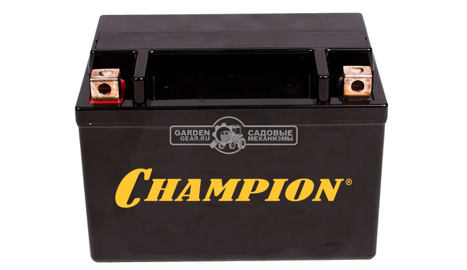 Аккумулятор Champion для DG10000E / DG10000E-3 / DG6501ES (12V, 36 Ah, 196/128/220 мм)