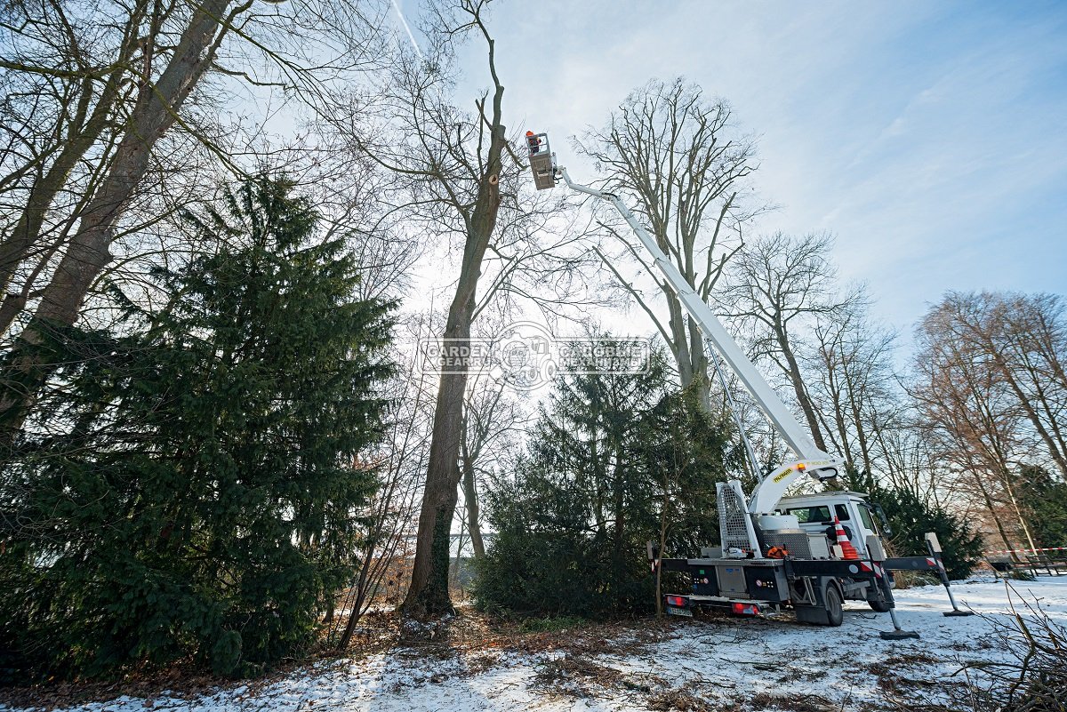 Бензопила сучкорез одноручная Stihl MS 201 TC-M 12&quot; (GER, 35,2 куб.см., 1,8 кВт/2,4 л.с, 2-MIX, M-Tronic, ElastoStart, 3/8&quot;, 1,3 мм., 44E, 3,7 кг.)