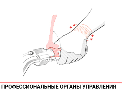 Профессиональные органы управления Профессиональные органы управления
