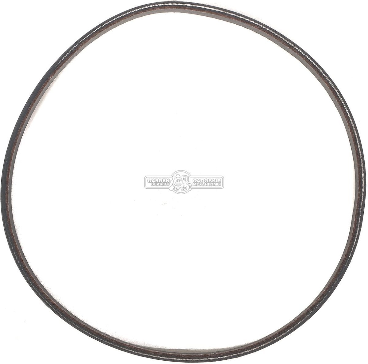 Ремень Caiman для Edgar 60C