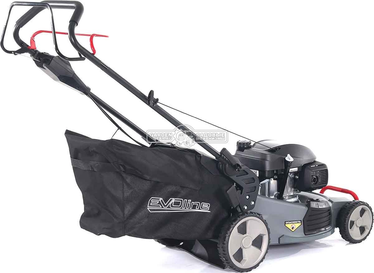 Газонокосилка бензиновая EVOline LMG 53 CSH Commercial (PRC, 53 см, Honda GCV200, 201 см3, 4 в 1, 70 л, сталь, 47 кг)