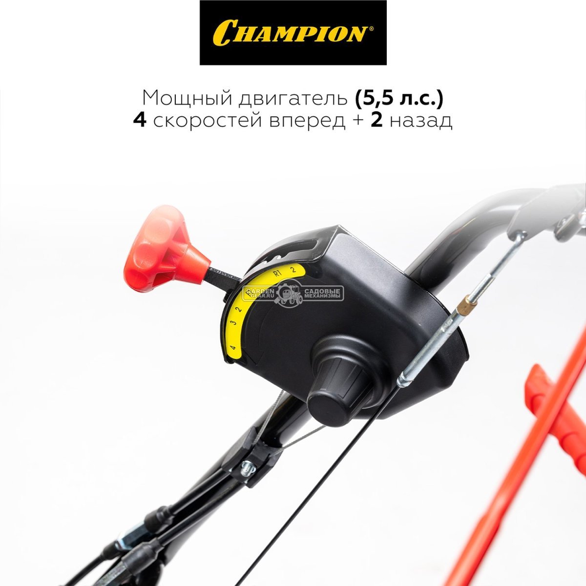 Снегоуборщик Champion ST556 (PRC, 56 см., Champion, 163 куб.см., скорости 4/2, 62.5 кг)