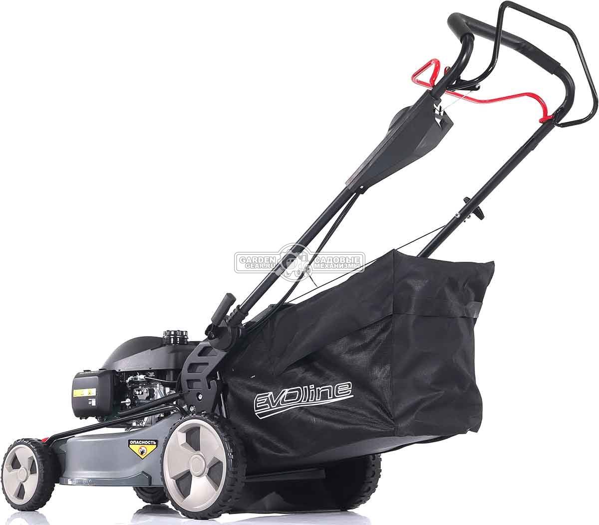 Газонокосилка бензиновая EVOline LMG 53 CSH Commercial (PRC, 53 см, Honda GCV200, 201 см3, 4 в 1, 70 л, сталь, 47 кг)