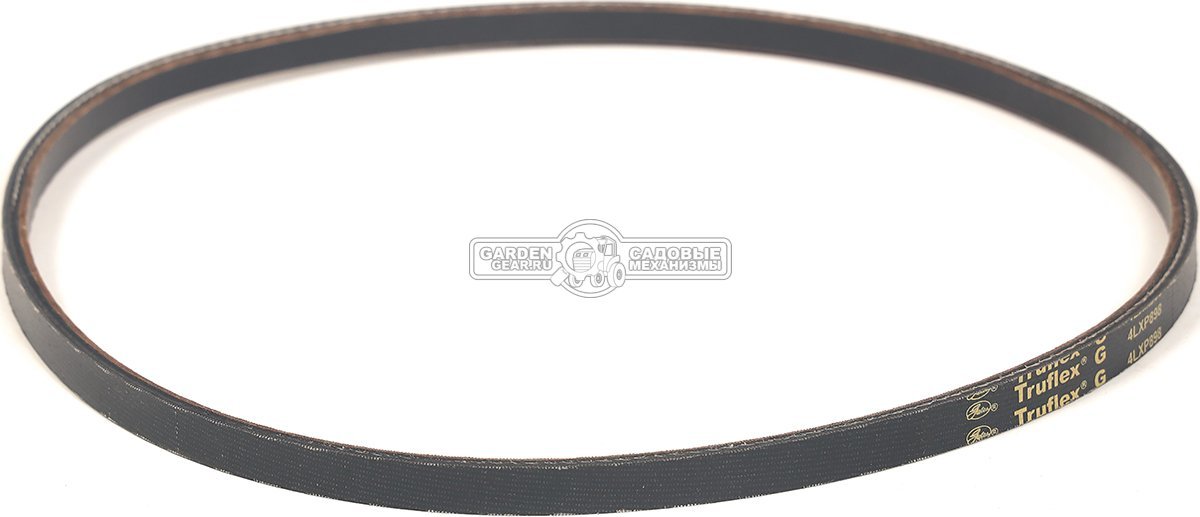 Ремень Caiman для Edgar 60C