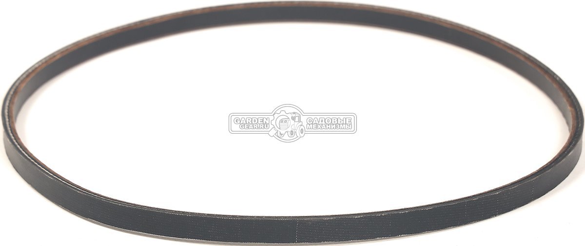 Ремень Caiman для Edgar 60C