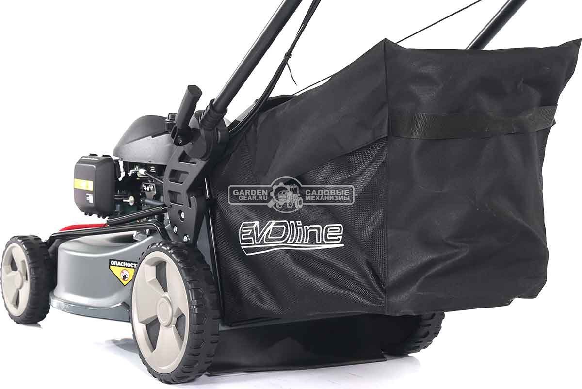 Газонокосилка бензиновая EVOline LMG 53 CSH Commercial (PRC, 53 см, Honda GCV200, 201 см3, 4 в 1, 70 л, сталь, 47 кг)