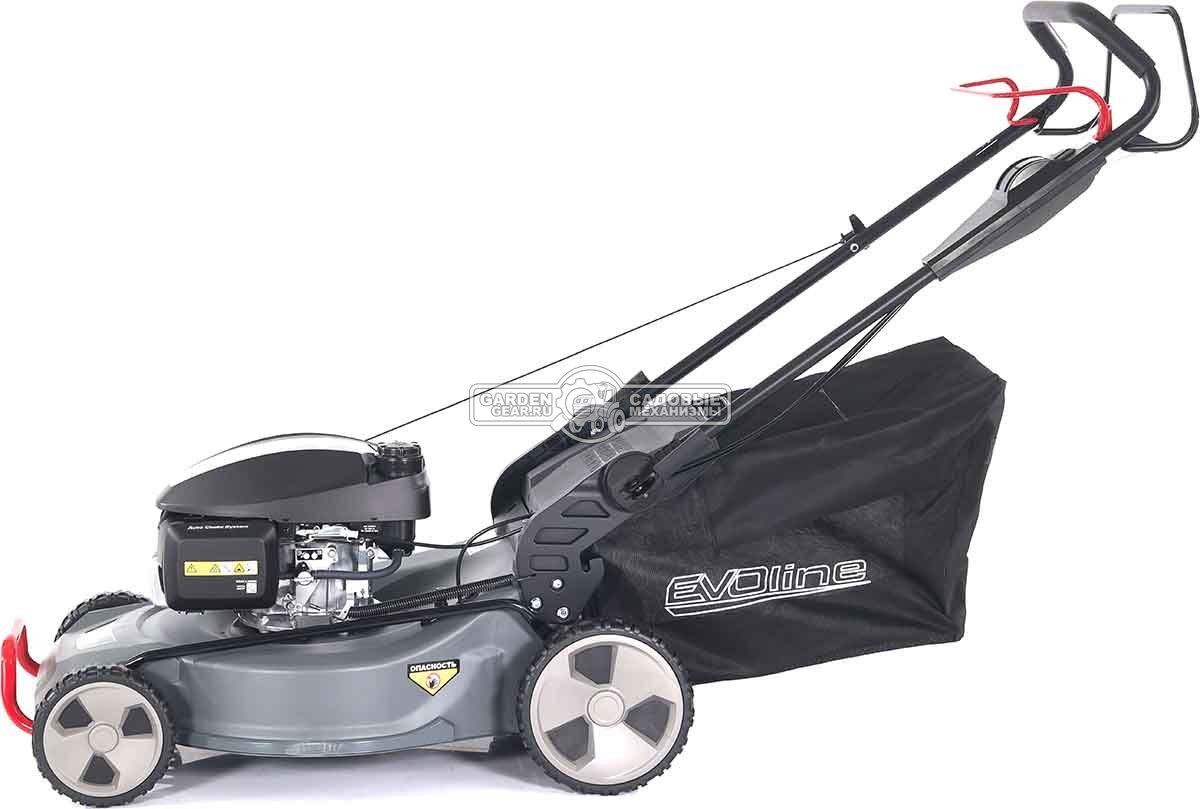Газонокосилка бензиновая EVOline LMG 53 CSH Commercial (PRC, 53 см, Honda GCV200, 201 см3, 4 в 1, 70 л, сталь, 47 кг)