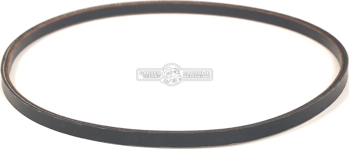 Ремень Caiman для Edgar 60C