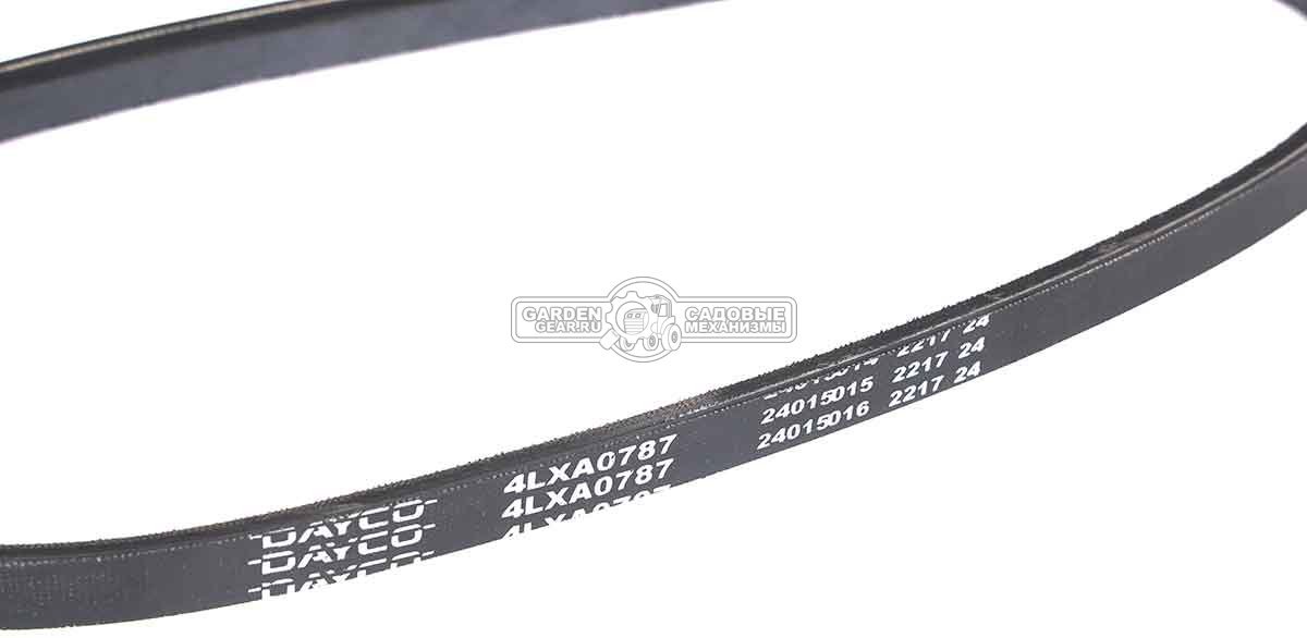 Ремень ZimAni привода хода, для минирайдера RDE 66