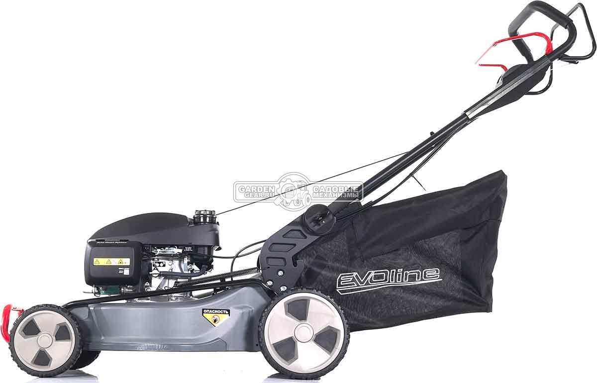Газонокосилка бензиновая EVOline LMG 53 CSH Commercial (PRC, 53 см, Honda GCV200, 201 см3, 4 в 1, 70 л, сталь, 47 кг)