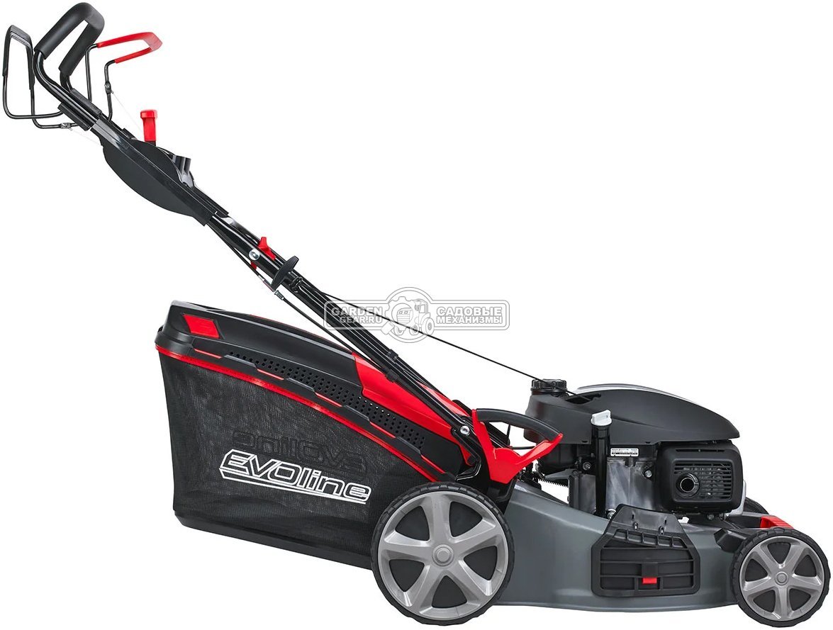 Газонокосилка бензиновая EVOline LMG 53 CVH (PRC, 53 см, Honda GCV 200, 201 см3, вариатор, 4 в 1, 70 л, сталь, 40 кг)