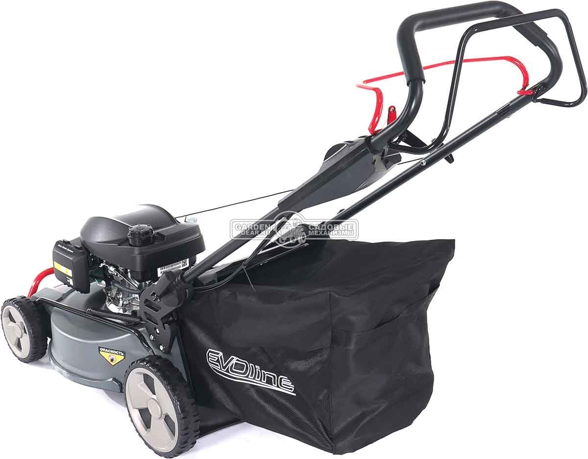 Газонокосилка бензиновая EVOline LMG 53 CSH Commercial (PRC, 53 см, Honda GCV200, 201 см3, 4 в 1, 70 л, сталь, 47 кг)