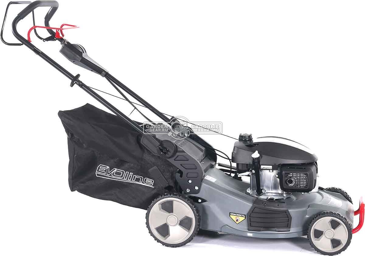 Газонокосилка бензиновая EVOline LMG 53 CSH Commercial (PRC, 53 см, Honda GCV200, 201 см3, 4 в 1, 70 л, сталь, 47 кг)