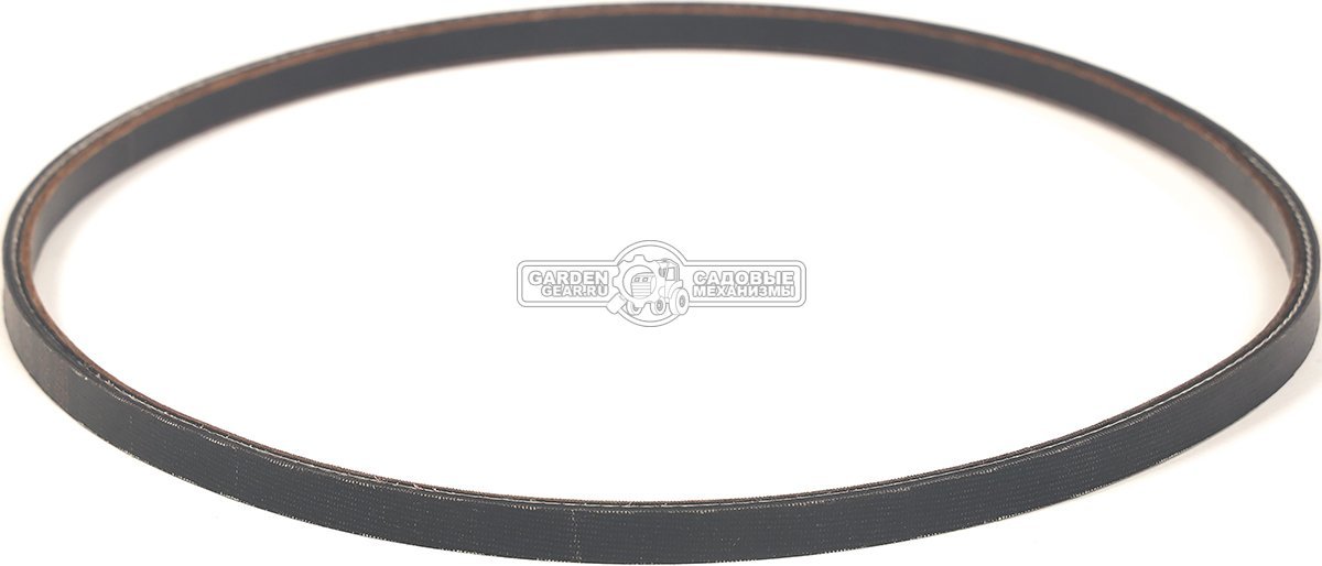 Ремень Caiman для Edgar 60C