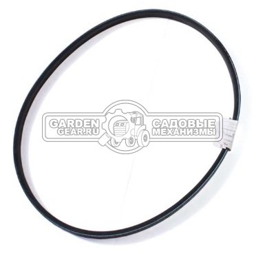 Ремень привода щетки MasterYard для MX8523R, MX8542R (аналог LB4L-885)