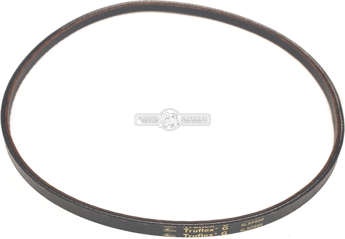 Ремень Caiman для Edgar 60C