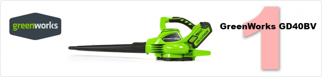 GreenWorks GD40BV