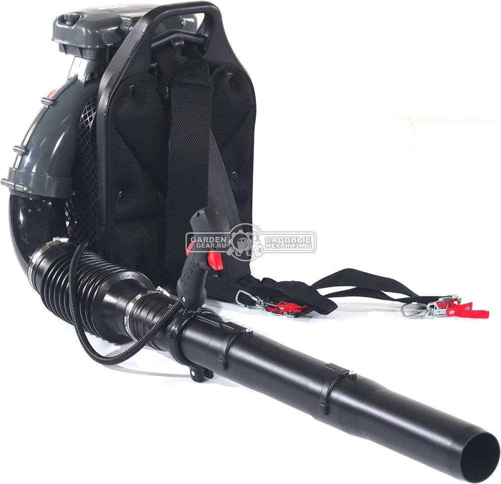 EVOline BLG 80 BP