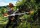 Бензиновый кусторез Stihl FS 460 (GER, 51,6 куб.см., 2,4 кВт/3,3 л.с., 2-MIX, длина - 177 см., 3-х нож DM 3F-300, AutoCut 46-2, 8,5 кг.)