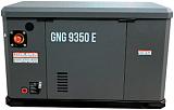 Газовый генератор EVOline GNG 9350 E
