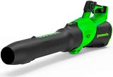 Воздуходувка аккумуляторная Greenworks GD40BG3 с АКБ 4 А/ч и ЗУ