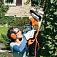 Кусторез электрический Stihl HSE 61 нож 50 см (500 Вт., расстояние между зубьями 29 мм, поворотная рукоятка, 3.9 кг)