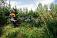 Бензиновый кусторез Stihl FS 560 C-EM (GER, 57,1 куб.см., 2,8 кВт/3,8 л.с., 2-MIX, ErgoStart, M-Tronic, длина 176 см., 24 зуба KSB MZ 225-24, 10,2 кг)