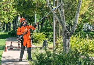 Высоторезы