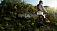 Бензиновый кусторез Stihl FS 560 C-EM (GER, 57,1 куб.см., 2,8 кВт/3,8 л.с., 2-MIX, ErgoStart, M-Tronic, длина 176 см., 24 зуба KSB MZ 225-24, 10,2 кг)