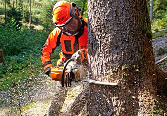 Рейтинг бензопил 2025