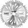 Диск для жёсткой травы Daewoo DABC 255/40 255х25,4х1,3 мм., 40 пильных твердосплавных зуба + 2 лезвия для внутренней подрезки травы