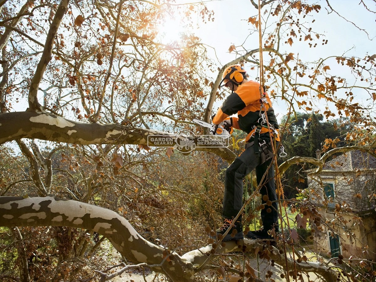 Stihl ms 151 hot sale price